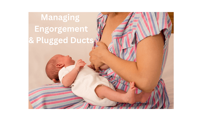 Parent holding newborn by breast while using mom is holding her breast, representing support for managing engorgement and painful plugged ducts.